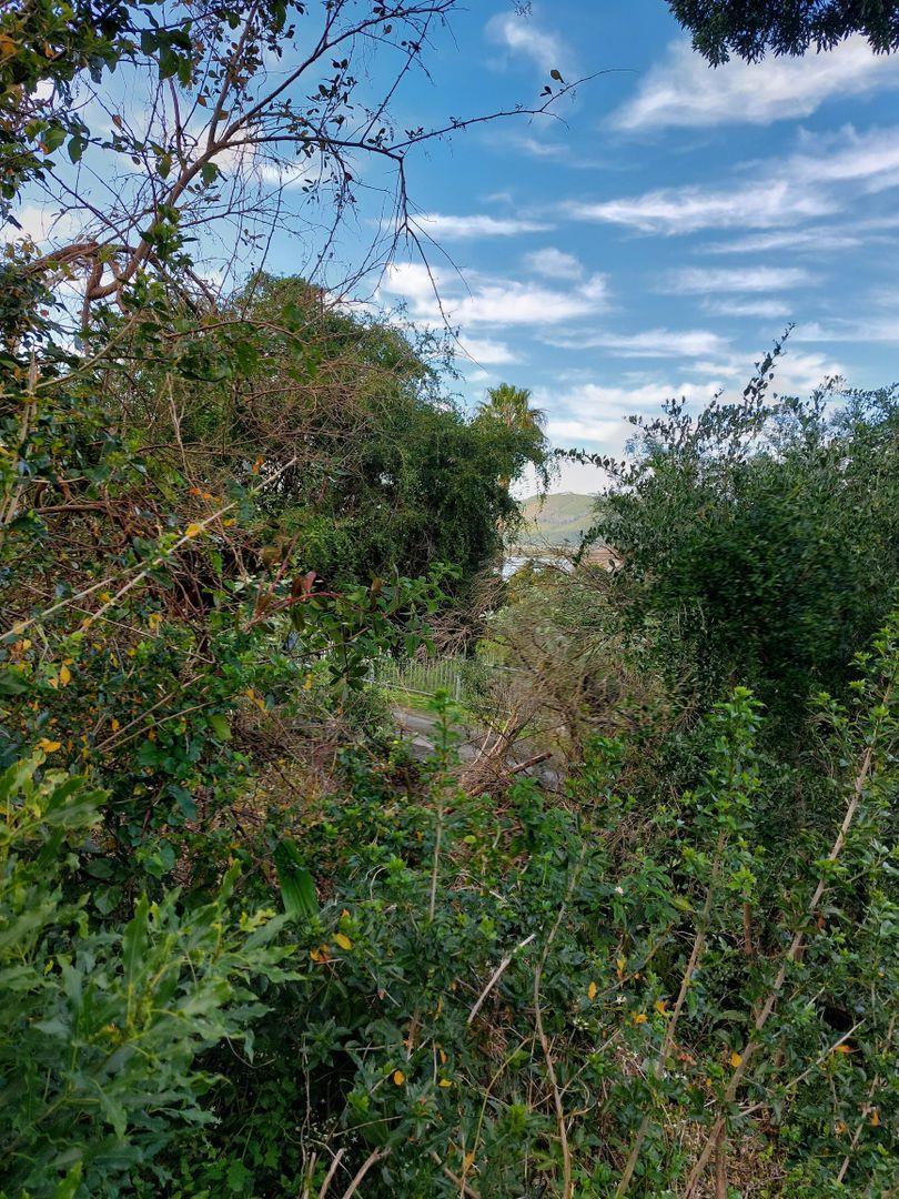 0 Bedroom Property for Sale in Paradise Western Cape